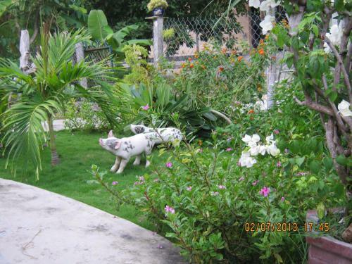 Hostal Sea Winds Resort