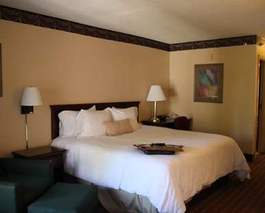 Hotel Hampton Inn Mcdonough