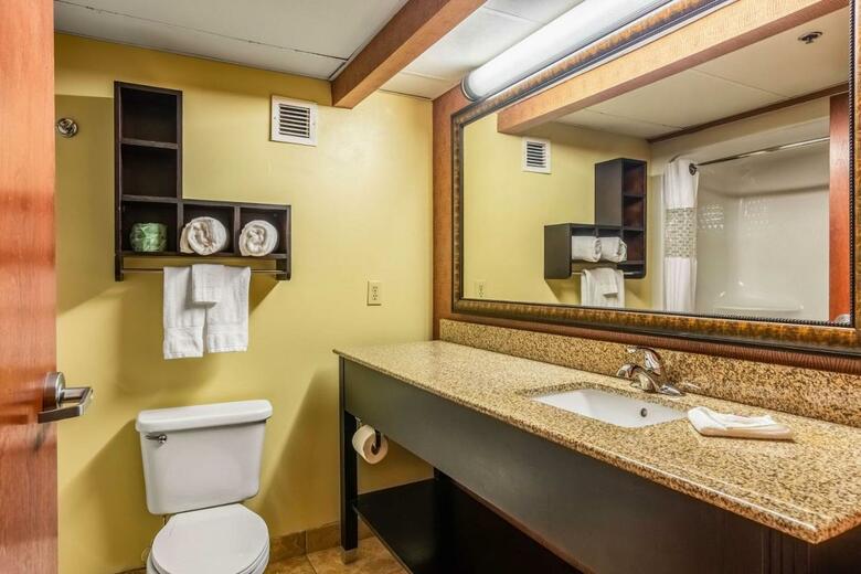 Hotel Hampton Inn Conway
