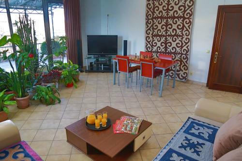 Amir Hotel