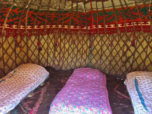 Turkestan Yurt Camp