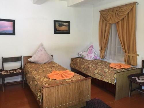 Turkestan Yurt Camp