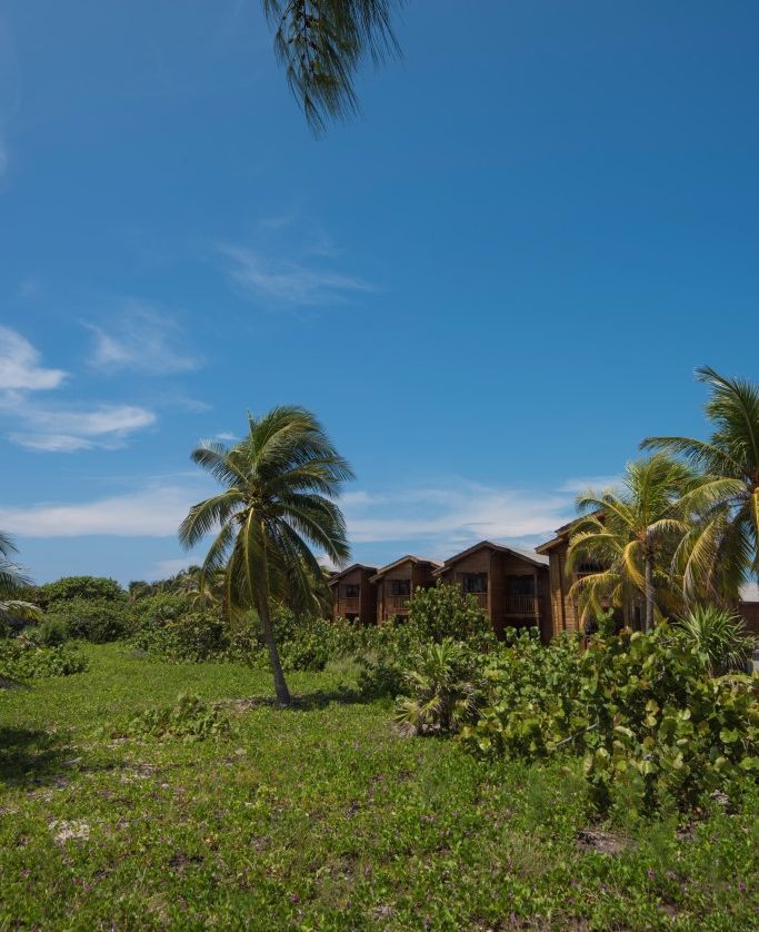 Hotel Villa Iguana