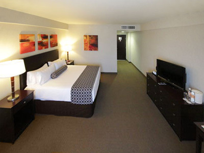 Hotel Crowne Plaza Leon