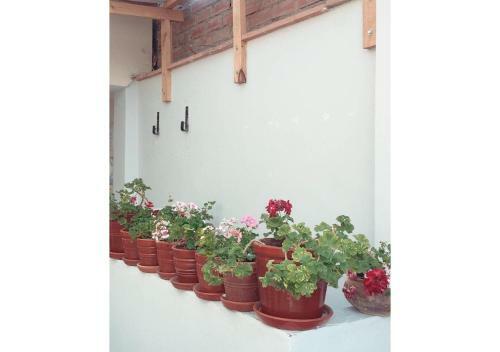 Casa Familiar