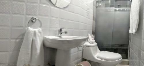 Bed & Breakfast Hostal Ostello Amadeus
