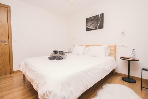 Hostal Secret Spot Hostel