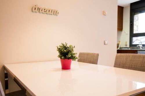 Apartamento Confort Escaldes