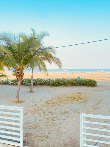 Apartamento Frente A La Playa Morros 922