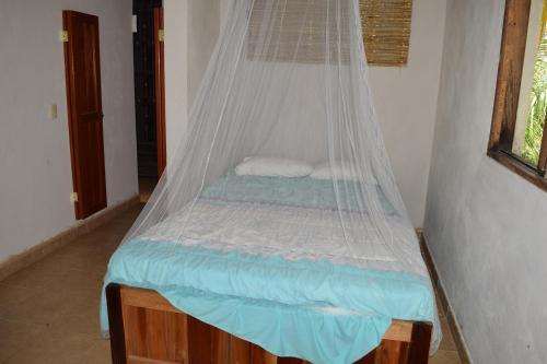 Bacalar Camping "el Arbol de La Vida"