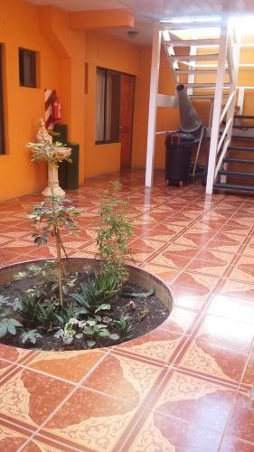 Hotel Don Alfredo