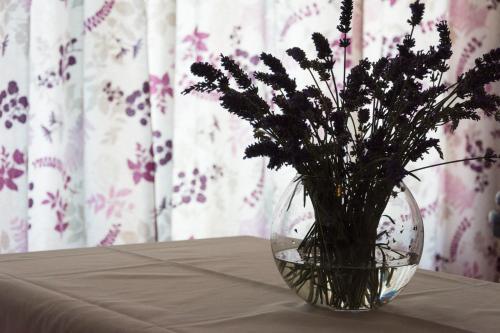 Apartment Rajna