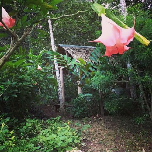 Lodge Jardin Del Pozo