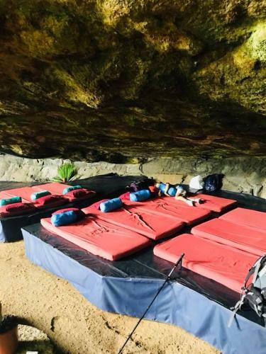 Lodge Catarata Diamante By Pacific Journeys