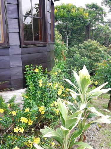 Amalfi Forest House