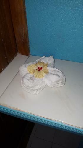 Apartamento Cabinas La Rivera
