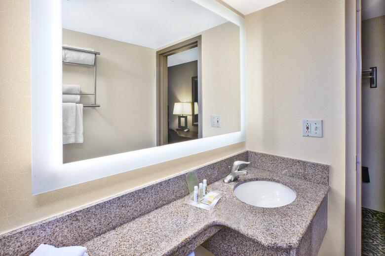 Hotel Holiday Inn National Airport