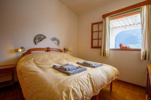Casa Haydn