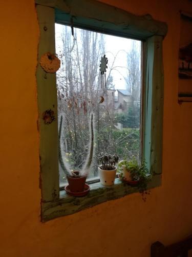 Casa En El Bolson
