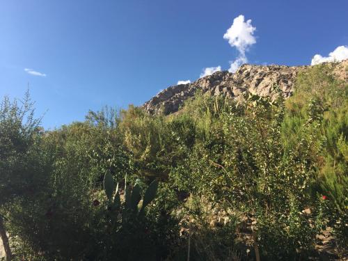 Lodge Illa Ylla