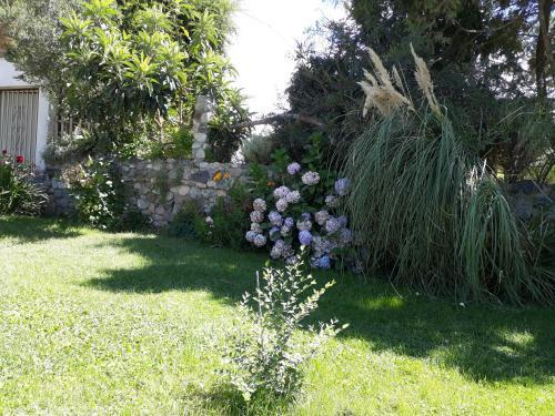 Lodge Nativa Che