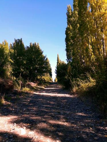 Lodge Nativa Che