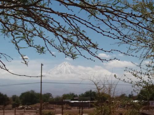Ckapur Atacama Caba�as