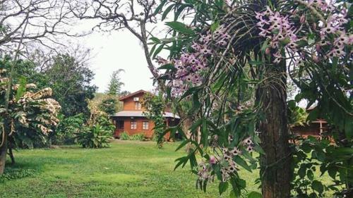 Posada De Los Arboles
