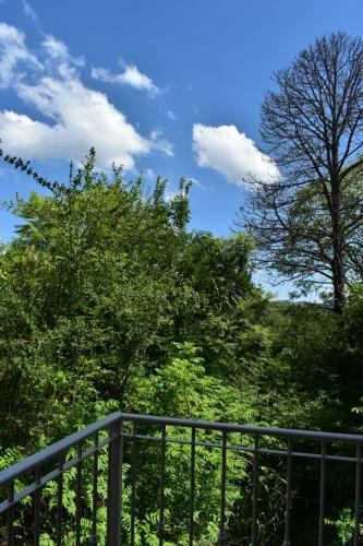 Lodge La Hondonada Caba�as