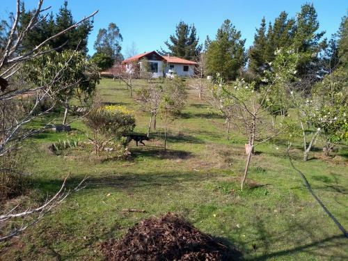 Apartamento Algarrobo, Los Peumos De La Capilla