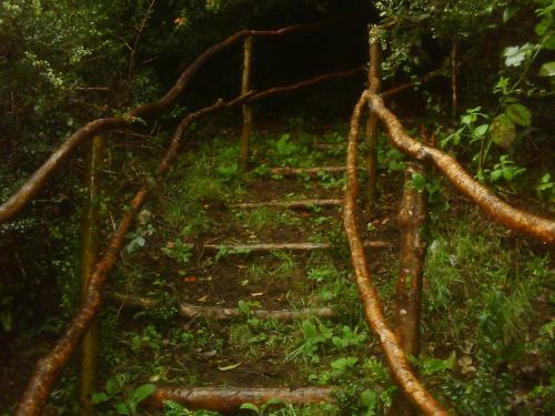 Agroturismo Caba�a Hecha En Minga Chilota