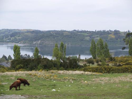 Lodge Caba�a Con Vista Al Fiordo