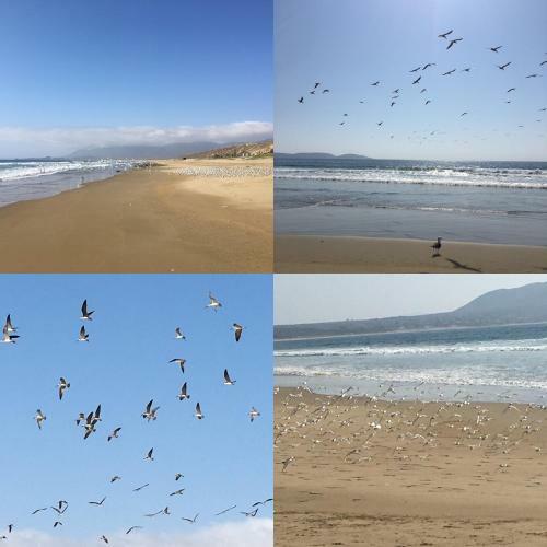 Apartamento Dunas De Morrillos