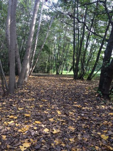 Apartamento Bosque Nativo
