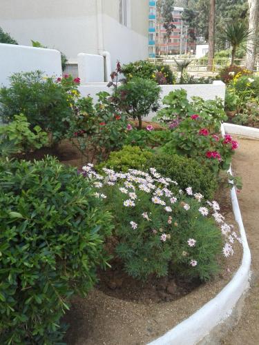 Apartamento Bosques De El Tabo