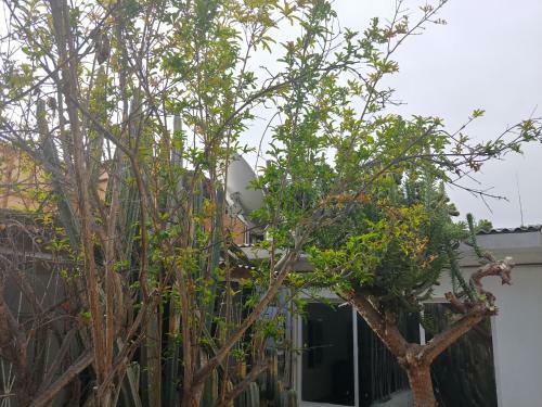 Habitaciones La Playa