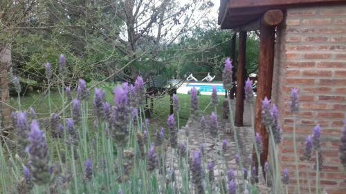 La Alquimia Casas De Campo