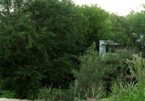 Apartamento Paloma Suite