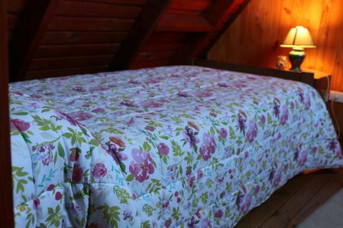 Hostal Y Caba�as De Los Reyes