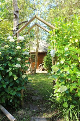 Hostal Y Caba�as De Los Reyes