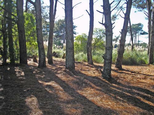 Chalet Los Pasquet