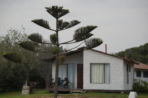Lodge Caba�as 4 Esquinas