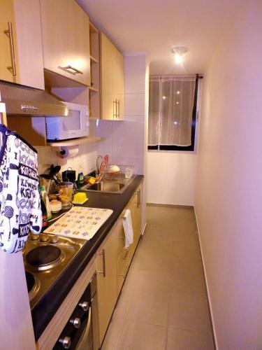Apartamento Departamento Alto Serena III