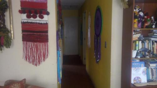 Casa Mandala Color