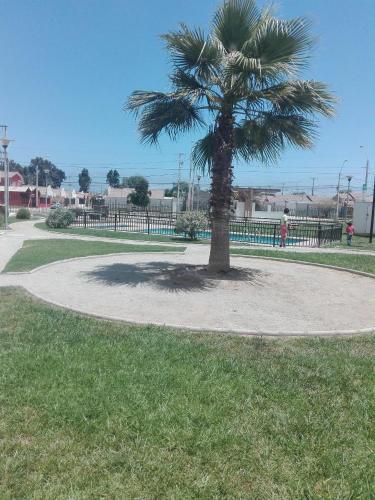 Apartamento El Brillador N� 1717