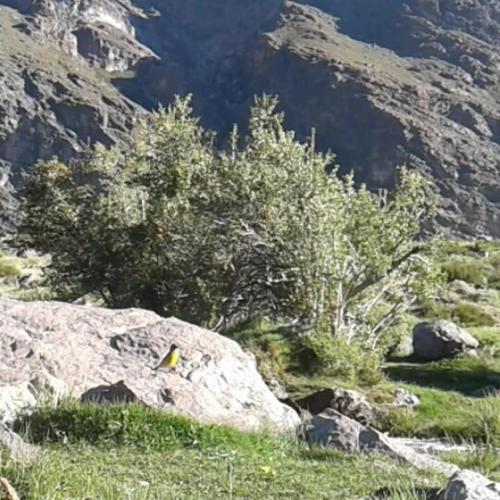 Hostal Refugio Cumbres