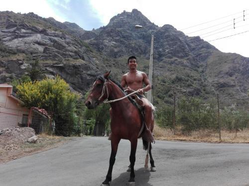 Hostal Refugio Cumbres
