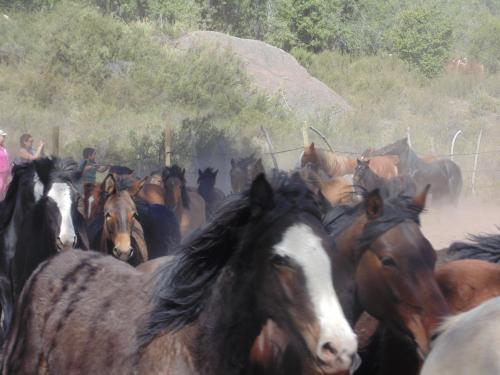Hostal Refugio Cumbres
