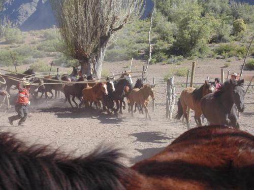 Hostal Refugio Cumbres