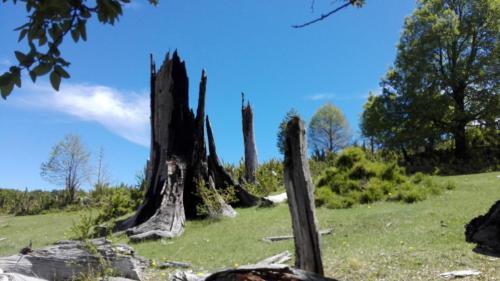 Malalmonta�a